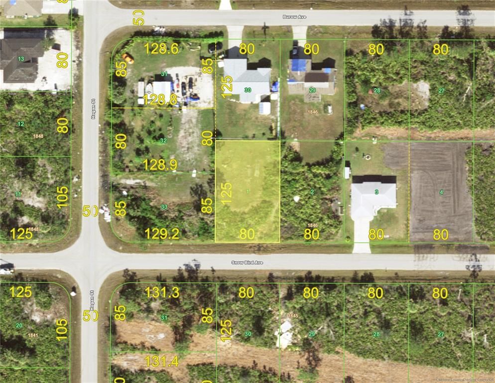 12080 SNOW BIRD AVENUE, Port Charlotte, FL 33981