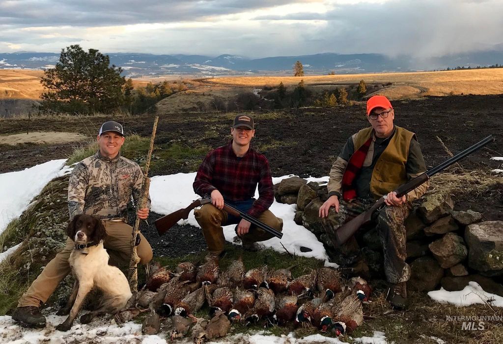 105 Scotlyn Ranch Rd, Kamiah, ID 83536 photo 12