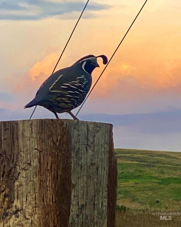 105 Scotlyn Ranch Rd, Kamiah, ID 83536 photo 14