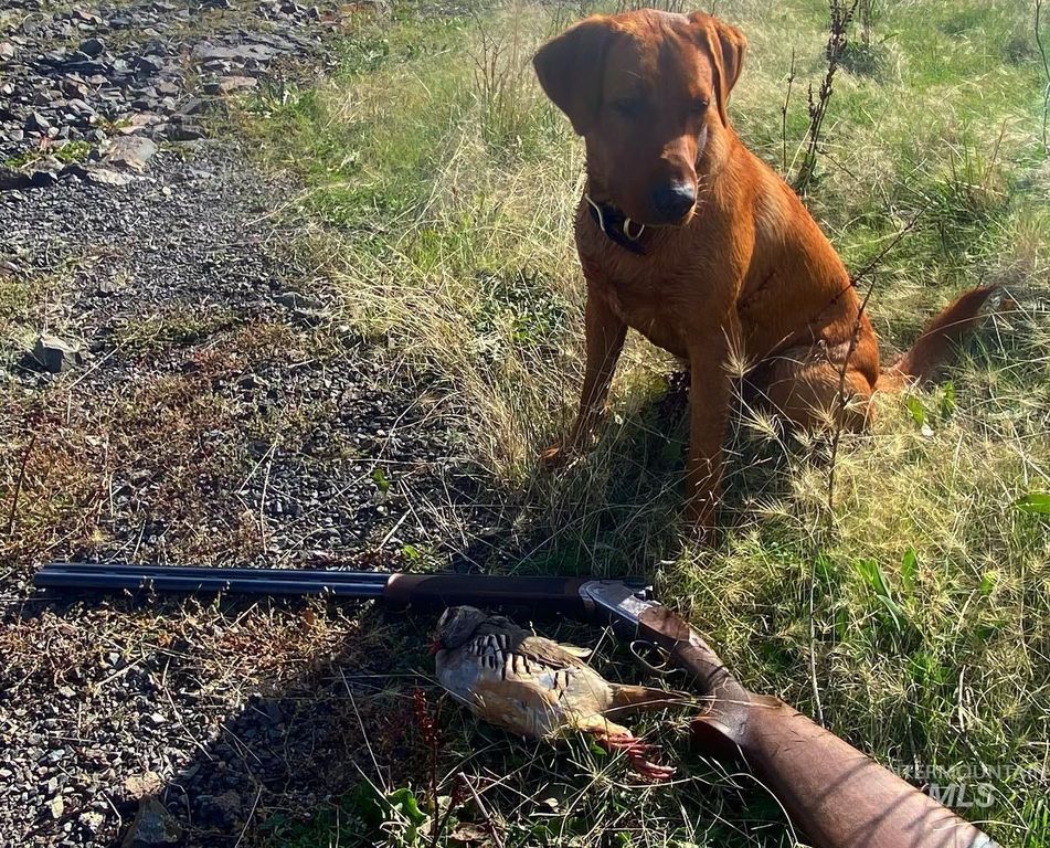 105 Scotlyn Ranch Rd, Kamiah, ID 83536 photo 17