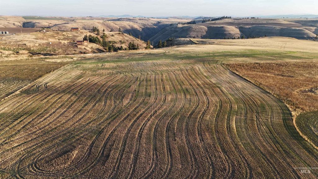 105 Scotlyn Ranch Rd, Kamiah, ID 83536 photo 6