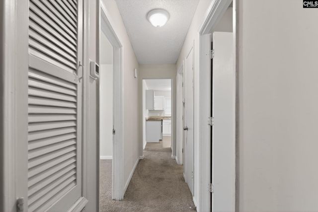 409 Todd Branch Drive, Columbia, SC 29223