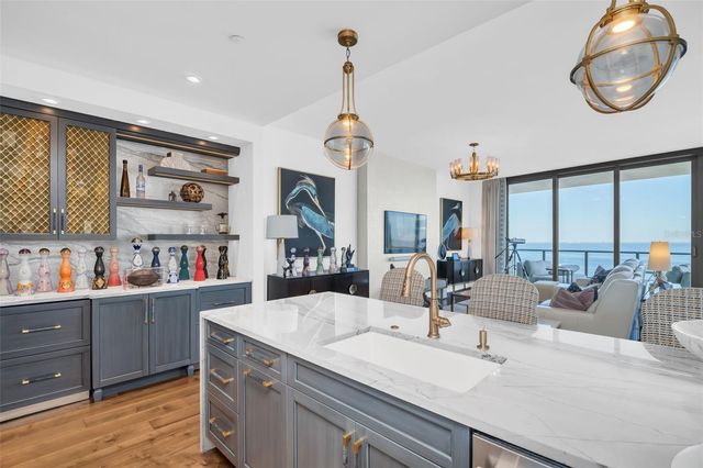 100 1ST AVENUE N 3001, St Petersburg, FL 33701