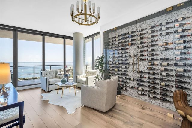 100 1ST AVENUE N 3001, St Petersburg, FL 33701