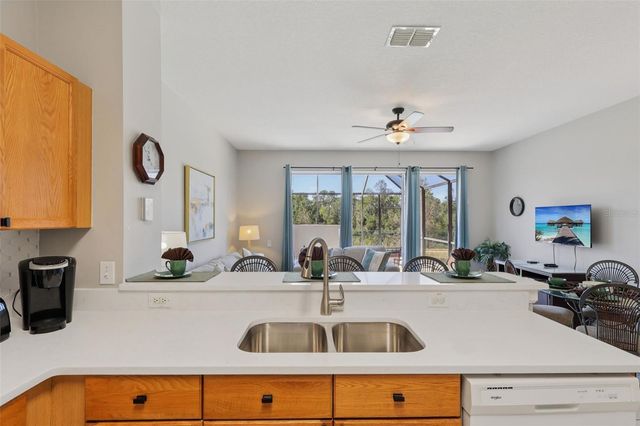 2346 SILVER PALM DRIVE, Kissimmee, FL 34747