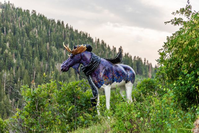 17 WHITE PINE CANYON RD, Park City, UT 84060