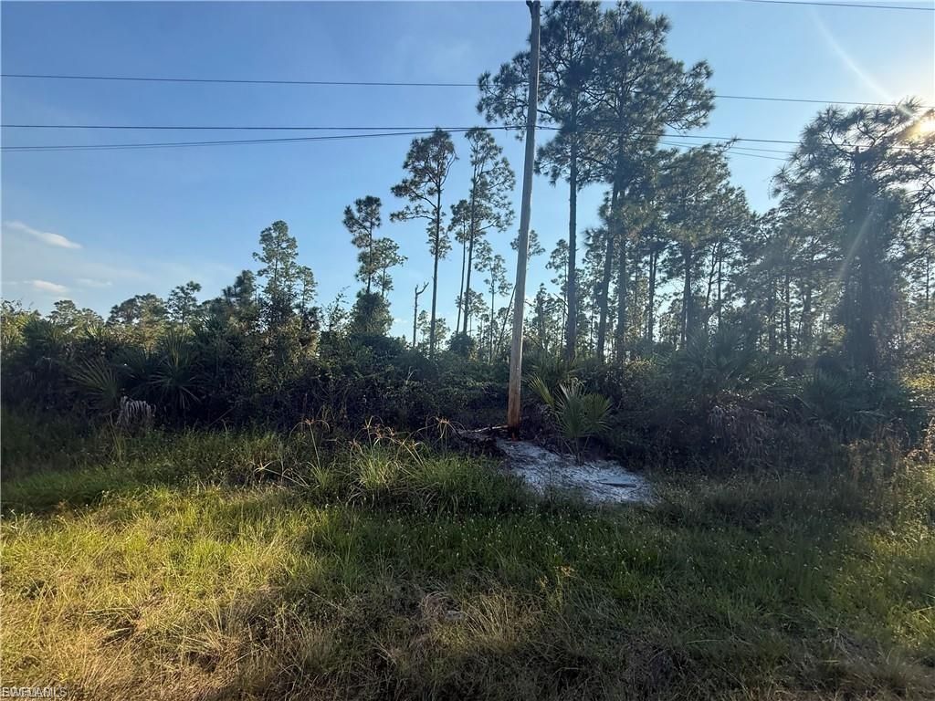 1086 Ainsworth ST E, LEHIGH ACRES, FL 33974 — exterior