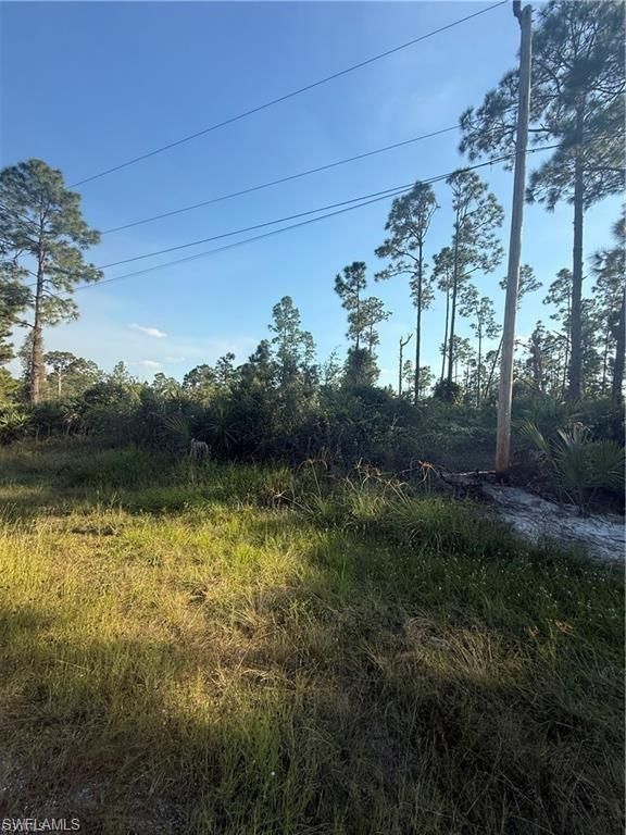1086 Ainsworth ST E, LEHIGH ACRES, FL 33974 — photo 2