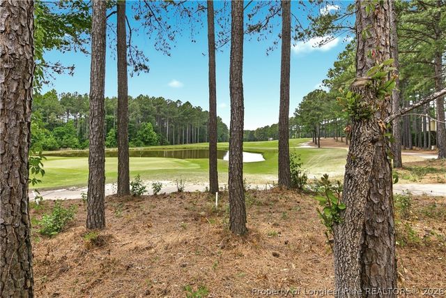 82 Pine Hawk Drive, Spring Lake, NC 28390