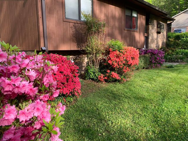 1102 Patterson Dr, Kingston Springs, TN 37082