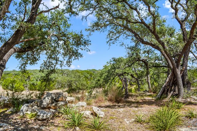 1263 Agaritaville, Spring Branch, TX 78070