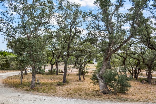 1263 Agaritaville, Spring Branch, TX 78070