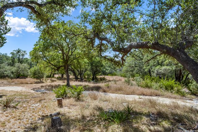 1263 Agaritaville, Spring Branch, TX 78070