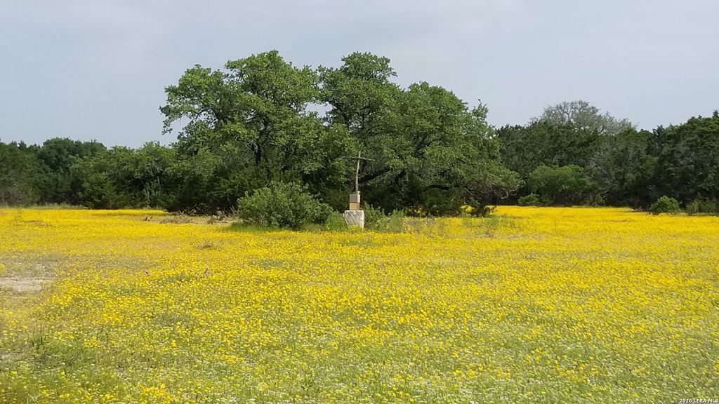 1263 Agaritaville, Spring Branch, TX 78070