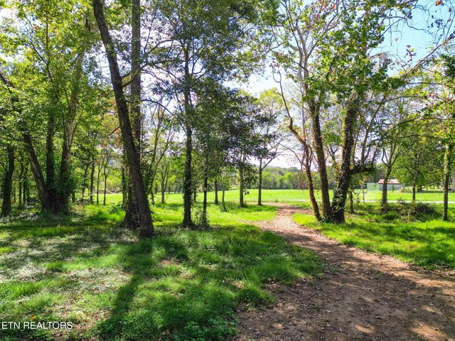 7136 Lightning Way, Powell, TN 37849