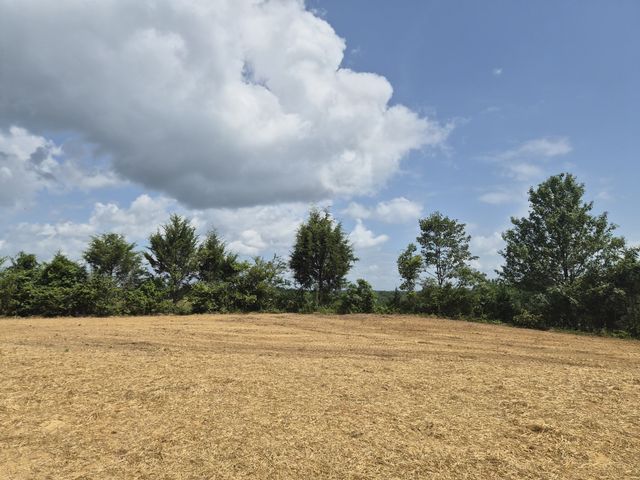 2153 Jefferson Rd, Smithville, TN 37166