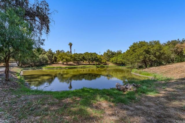 2925 Los Alisos Drive, Fallbrook, CA 92028