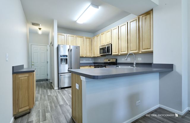 119 HARVEST Court 119, Volo, IL 60020