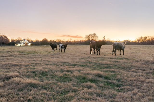 1512 E Henderson Street, Cleburne, TX 76031