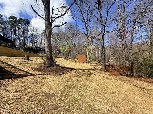 1436 Mountain Pass RD, Blue Ridge, VA 24064
