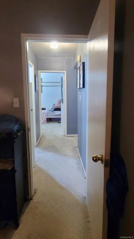 1199 E 53rd Street 7L, Brooklyn, NY 11234