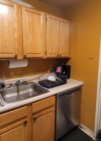 1199 E 53rd Street 7L, Brooklyn, NY 11234