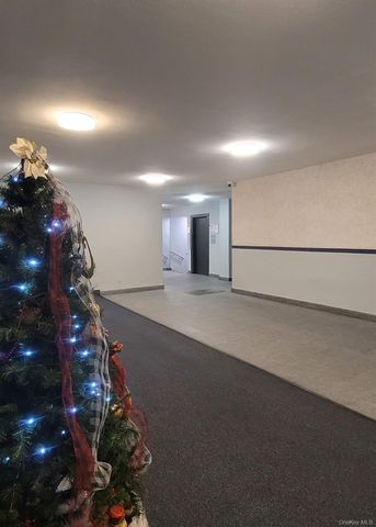 1199 E 53rd Street 7L, Brooklyn, NY 11234