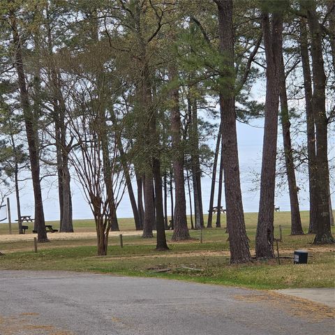 330 N Royale Greens Drive, Coldspring, TX 77331