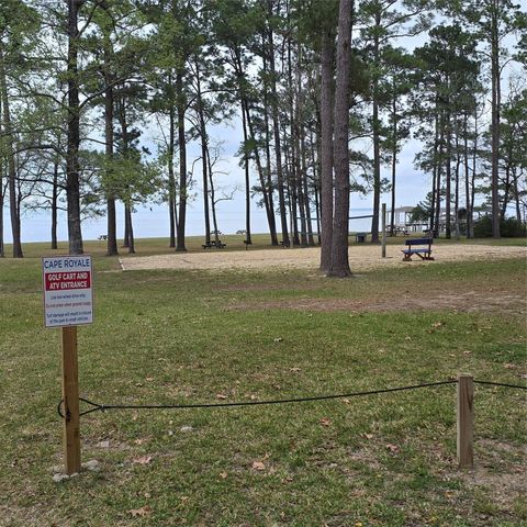 330 N Royale Greens Drive, Coldspring, TX 77331