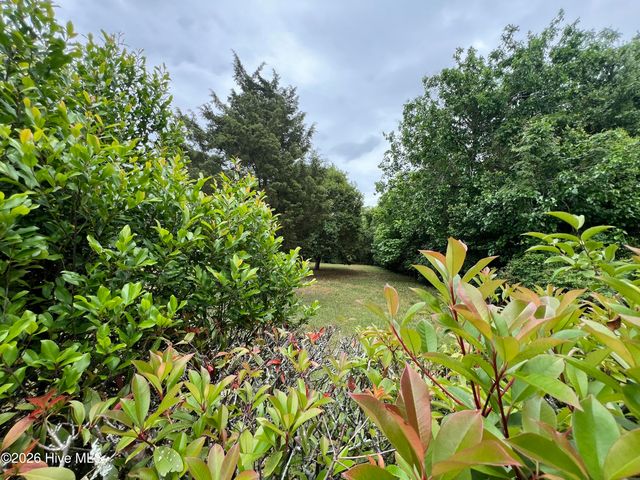 1223 S 8th Street, Wilmington, NC 28401