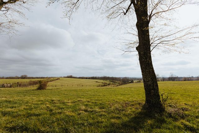 5670 Morehead Road, Flemingsburg, KY 41041