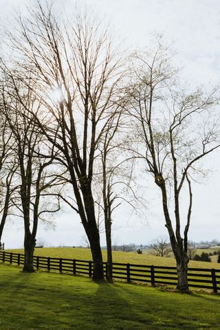 5670 Morehead Road, Flemingsburg, KY 41041