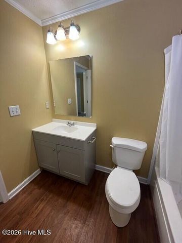1346 Sandy Ridge Way NE, Leland, NC 28451