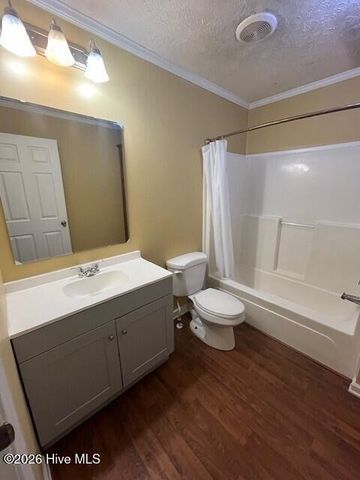 1346 Sandy Ridge Way NE, Leland, NC 28451