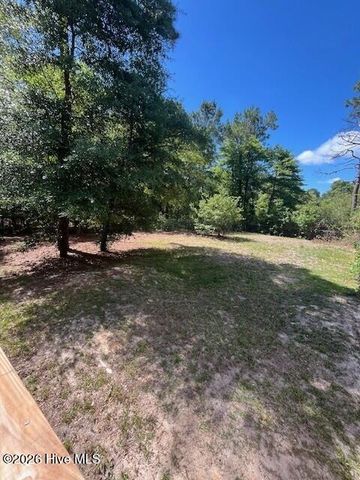 1346 Sandy Ridge Way NE, Leland, NC 28451