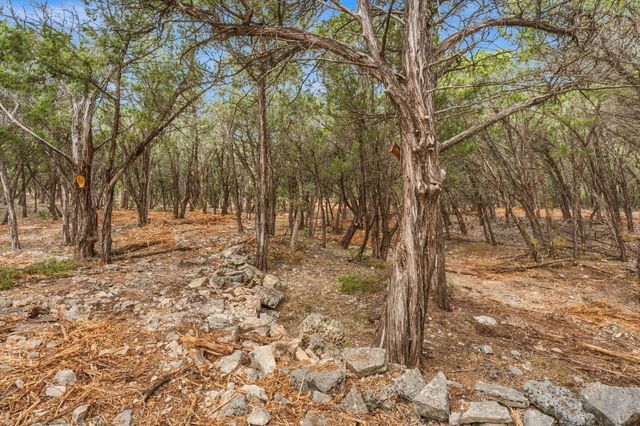 TBD FM 150, Driftwood, TX 78619