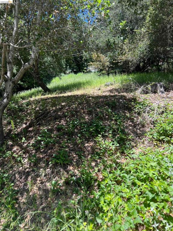 Beauforest Drive, Oakland, CA 94603