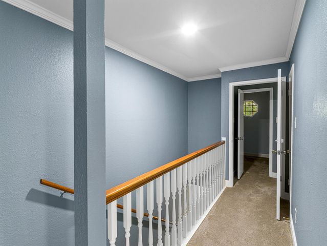 14423 Still Meadow Drive, Houston, TX 77079