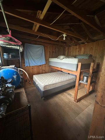 650 Stager Lake Road, Crystal Falls, MI 49920