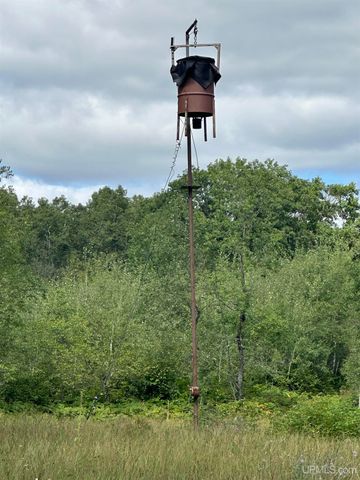 650 Stager Lake Road, Crystal Falls, MI 49920