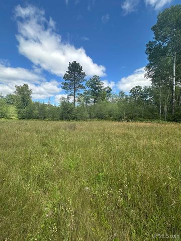 650 Stager Lake Road, Crystal Falls, MI 49920