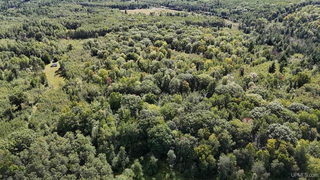 650 Stager Lake Road, Crystal Falls, MI 49920