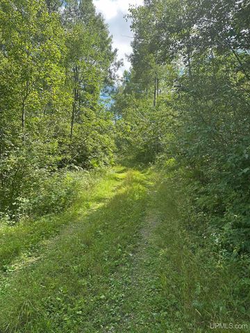 650 Stager Lake Road, Crystal Falls, MI 49920