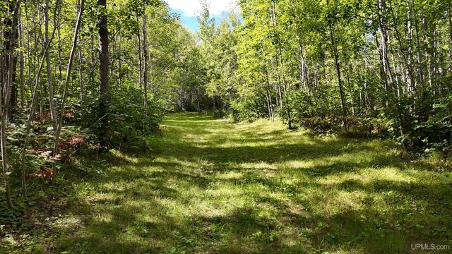 650 Stager Lake Road, Crystal Falls, MI 49920