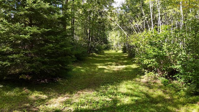 650 Stager Lake Road, Crystal Falls, MI 49920