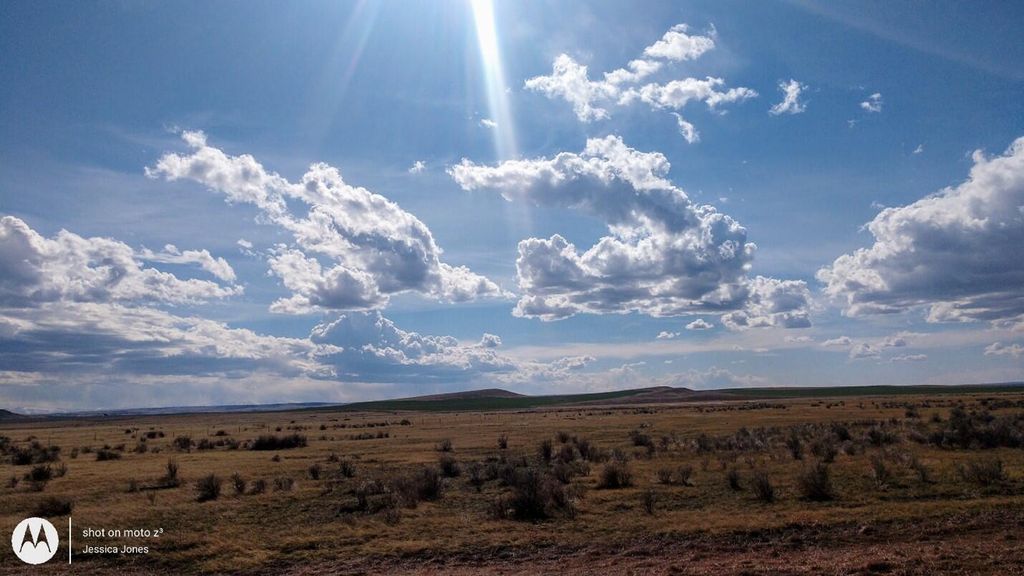Wheat Basin RD, Other - See Remarks, MT 59507