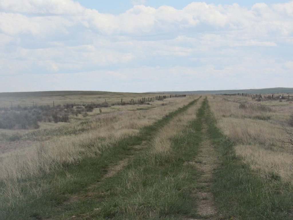Wheat Basin RD, Other - See Remarks, MT 59507 photo 5