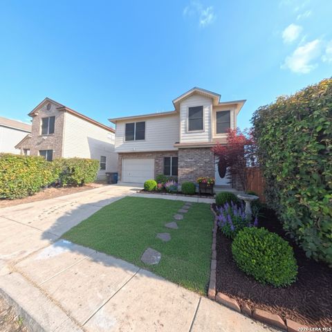 54 badgers, San Antonio, TX 78238