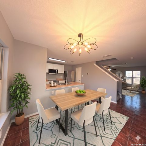 54 badgers, San Antonio, TX 78238