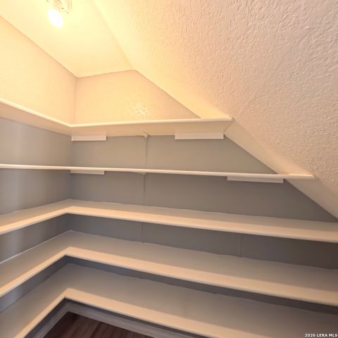 54 badgers, San Antonio, TX 78238